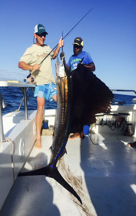 Pesce Vela